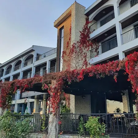 регина мария дизайн