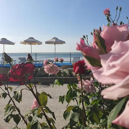 Хотел регина мария дизайн