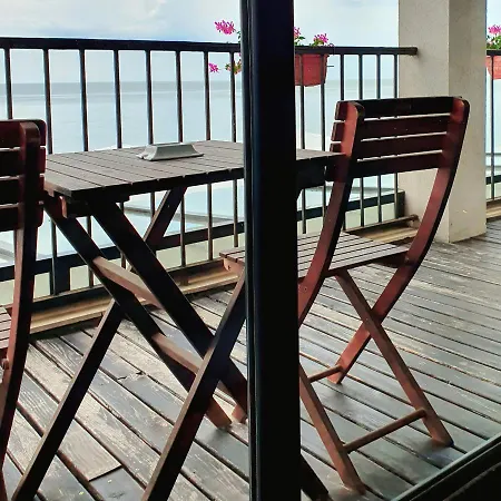 регина мария дизайн