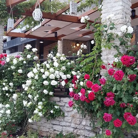 Regina Maria Design Hotel 4*