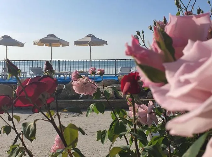 Hotel Regina Maria Design