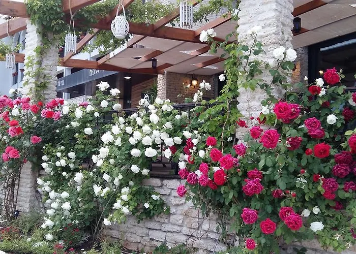 Regina Maria Design Hotel 4*